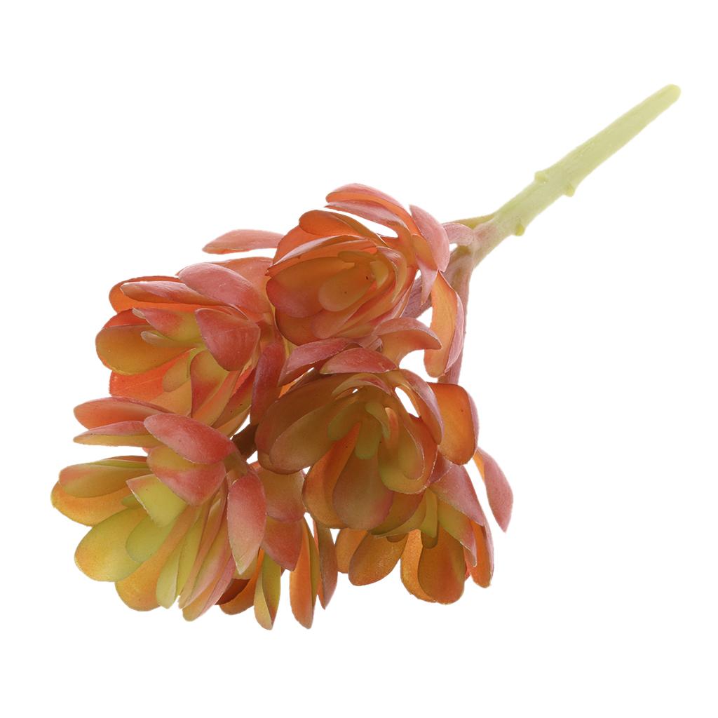 Искусственные суккуленты из пл – обзор и цена Echeveria Succulent