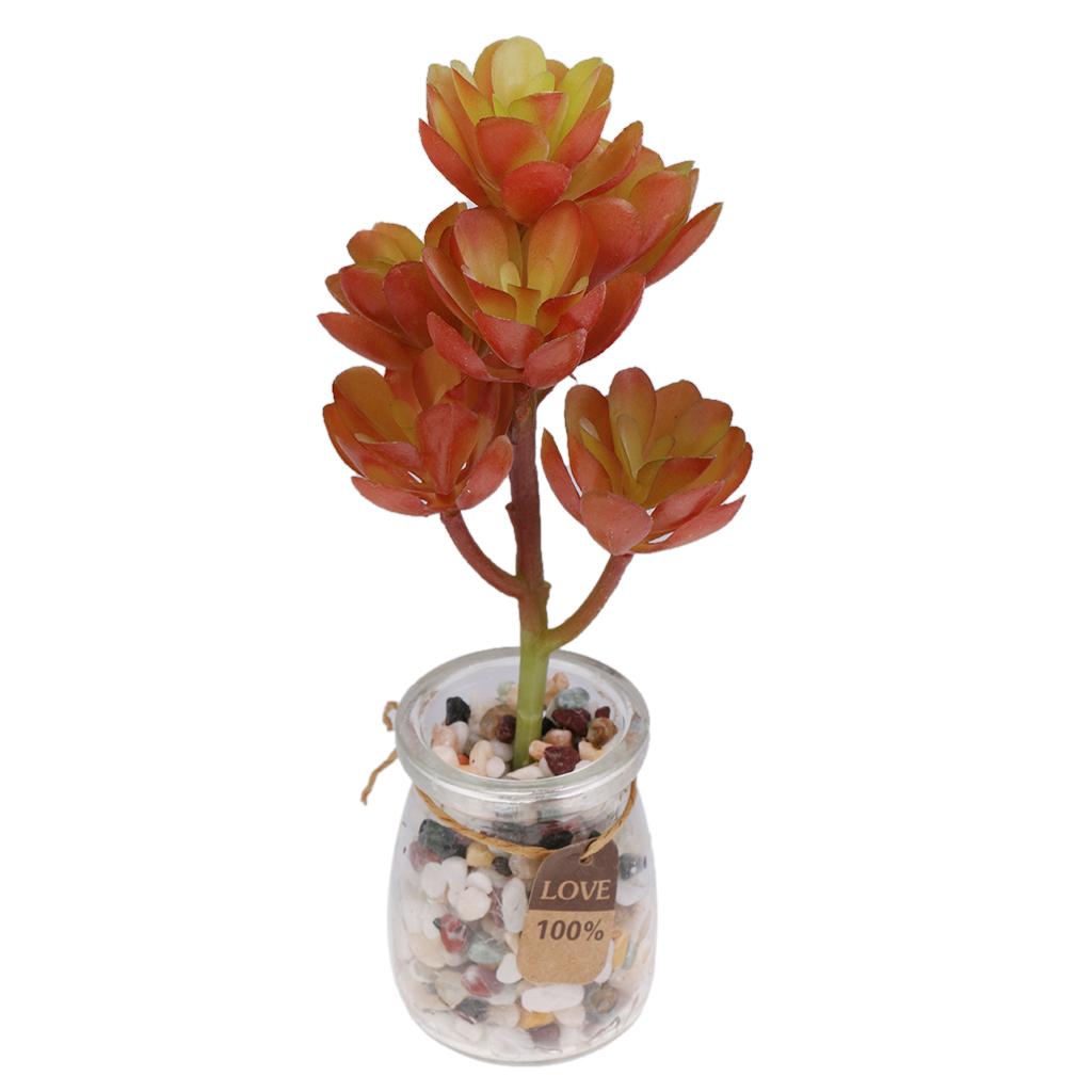 Искусственные суккуленты из пл – обзор и цена Echeveria Succulent