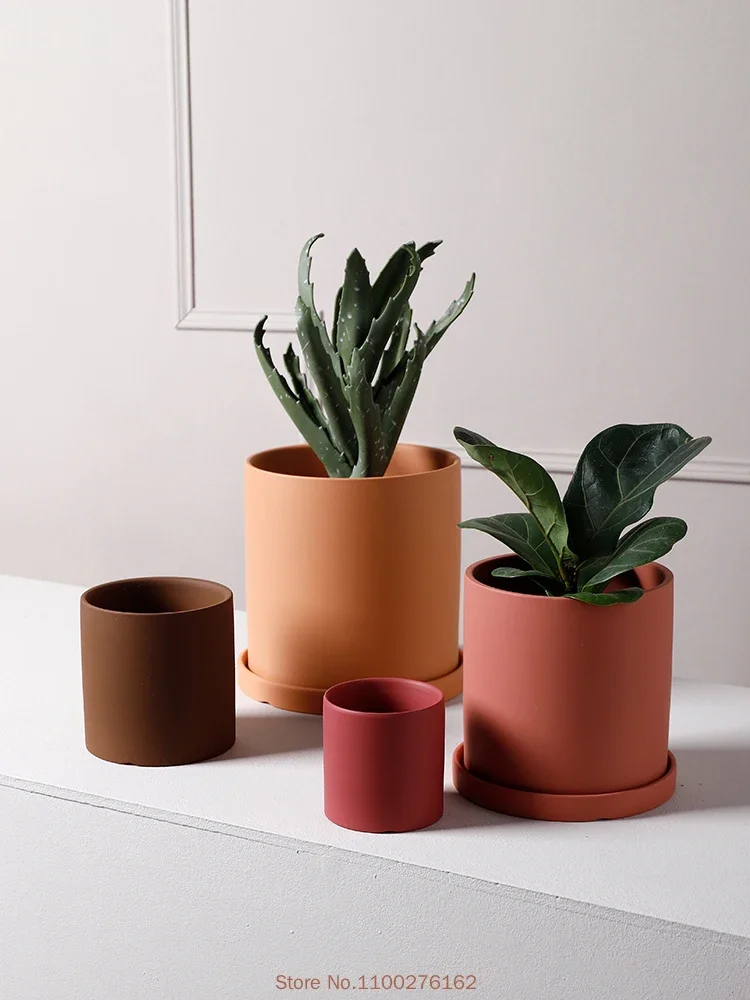 1 шт. новый однотонный керамич – обзор и цена Echeveria Succulent