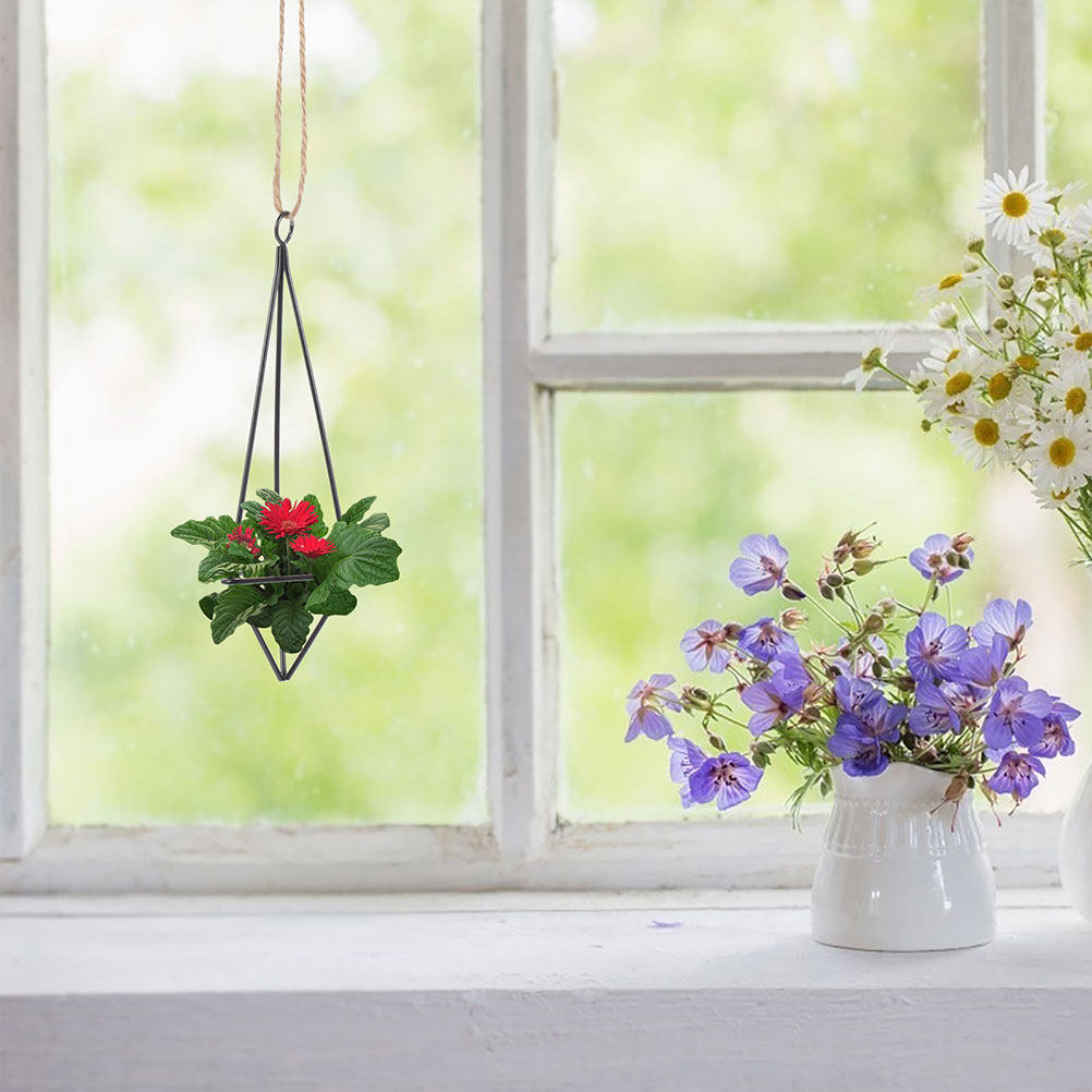 2 шт. Подвесные держатели для  – обзор и цена Spider Plant Hanging