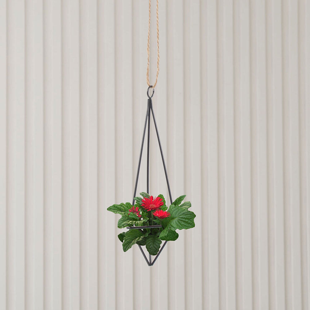 2 шт. Подвесные держатели для  – обзор и цена Spider Plant Hanging